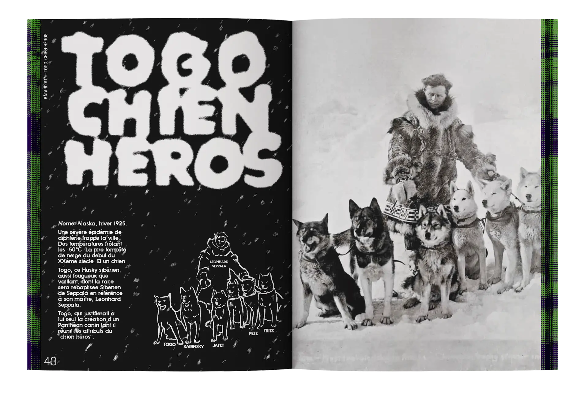 bâtard magazine 1 togo chien héros