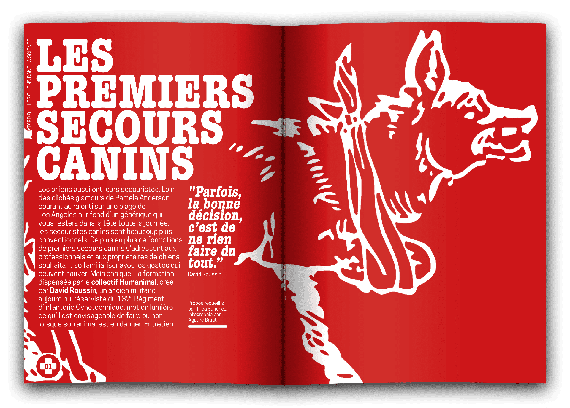 bâtard magazine 8 les premiers secours canins