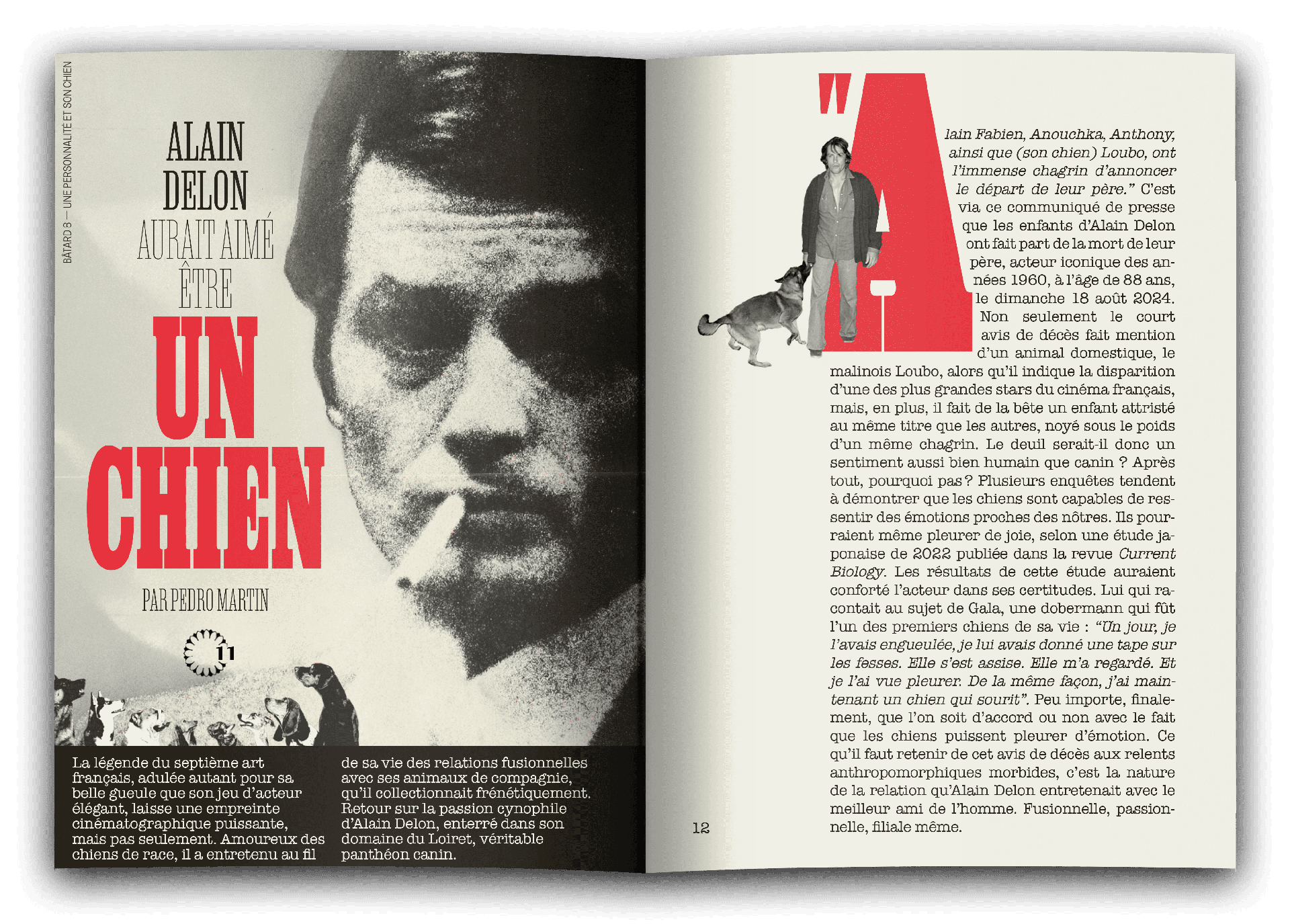 bâtard magazine 8 alain delon