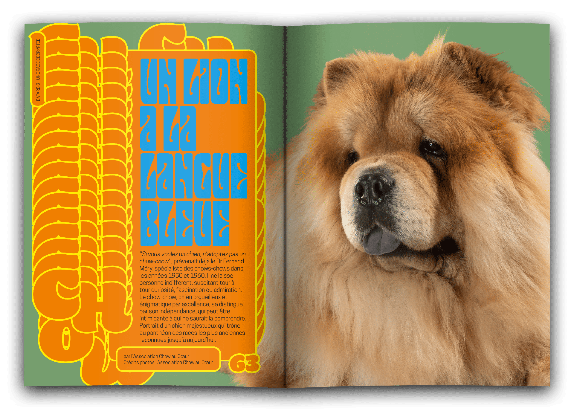 bâtard magazine 8 un lion à la langue bleue