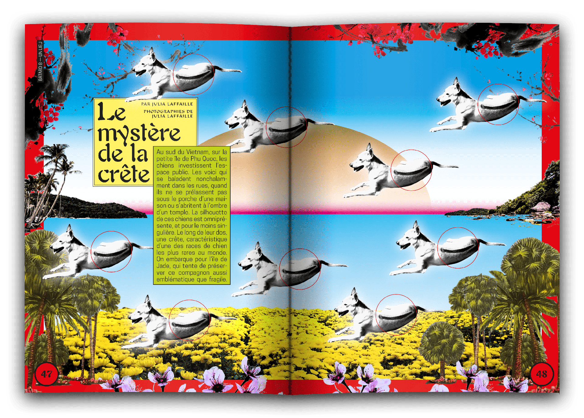 bâtard magazine 8 le mystère de la crête