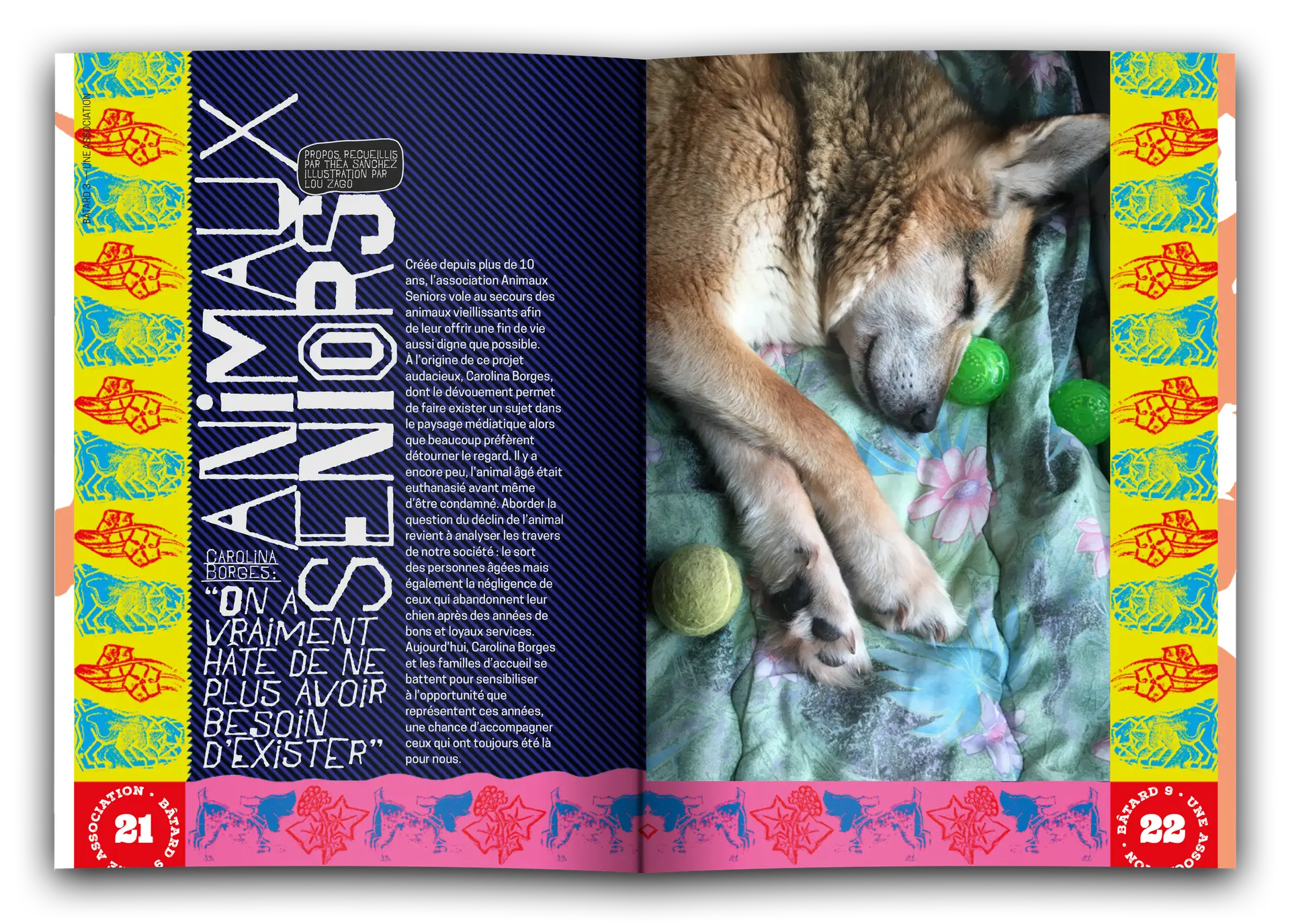 bâtard magazine 8 animaux seniors