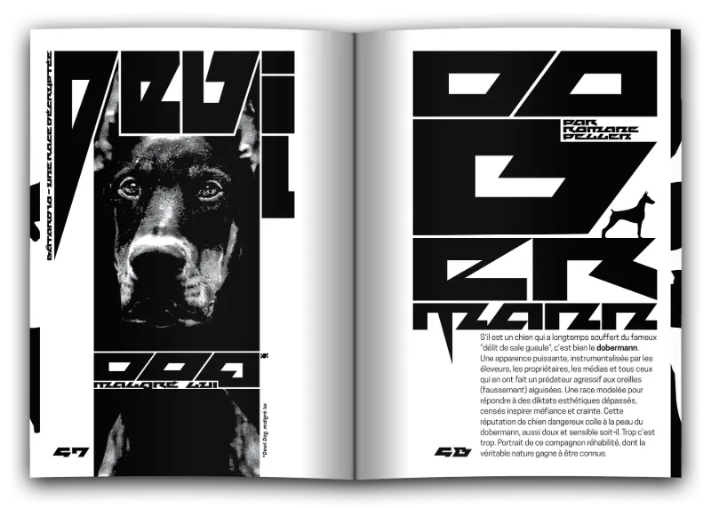 bâtard magazine 9 devil dobermann