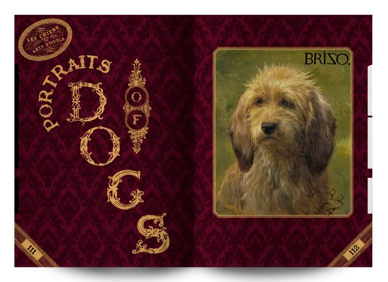 bâtard magazine 3 portraits of dogs