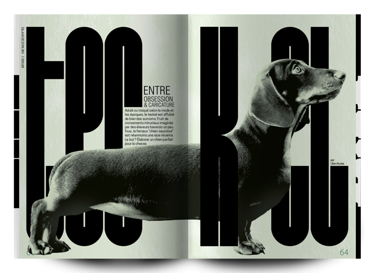 bâtard magazine 2 teckel