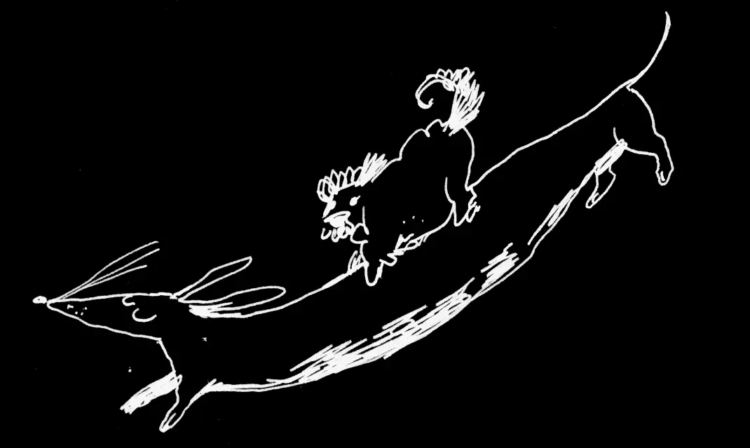 Illustration d'un petit chien sur un teckel