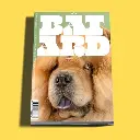 Bâtard #8 - Mars 2025