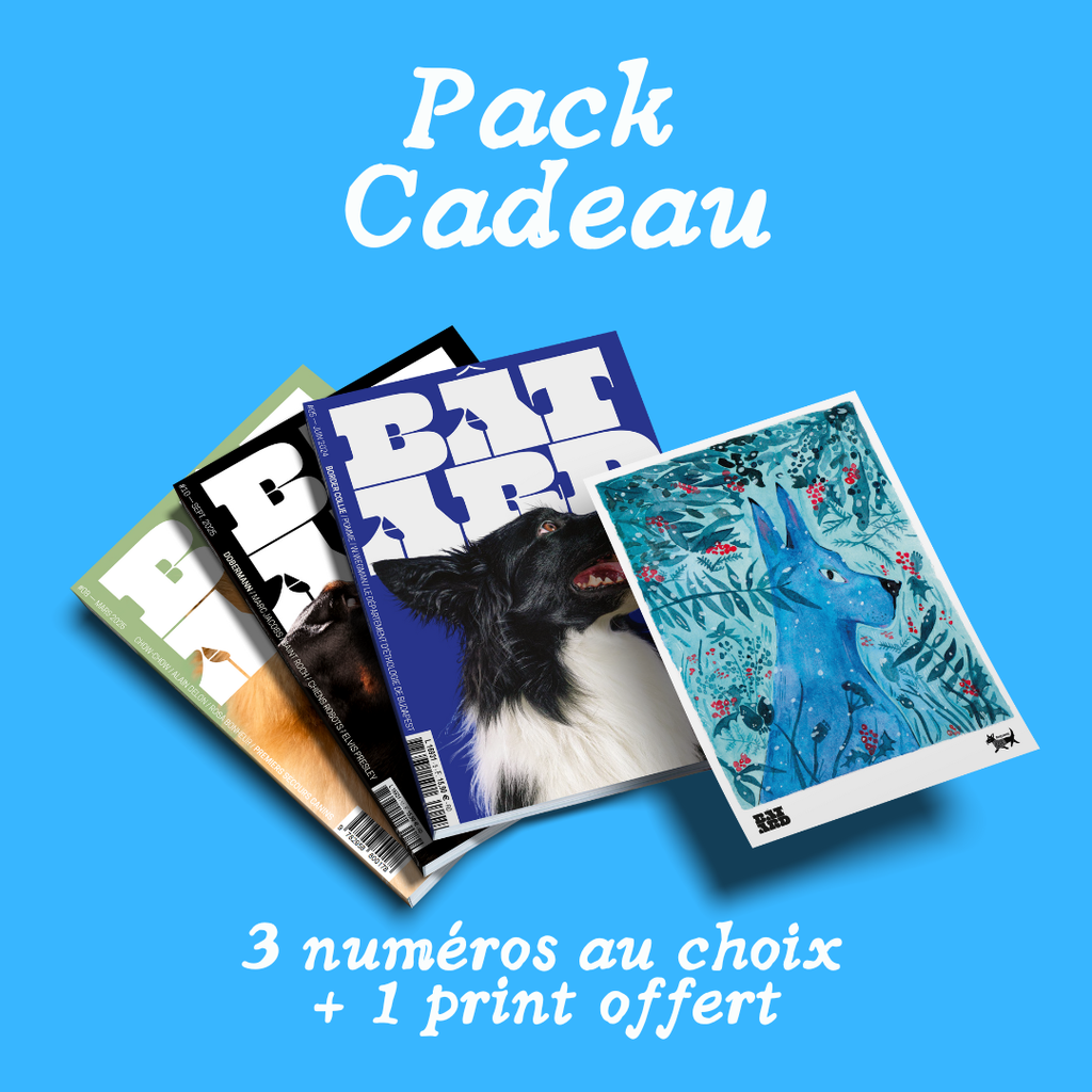 Pack cadeau