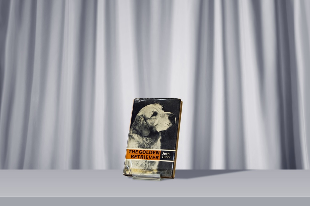 Livre - The Golden Retriever