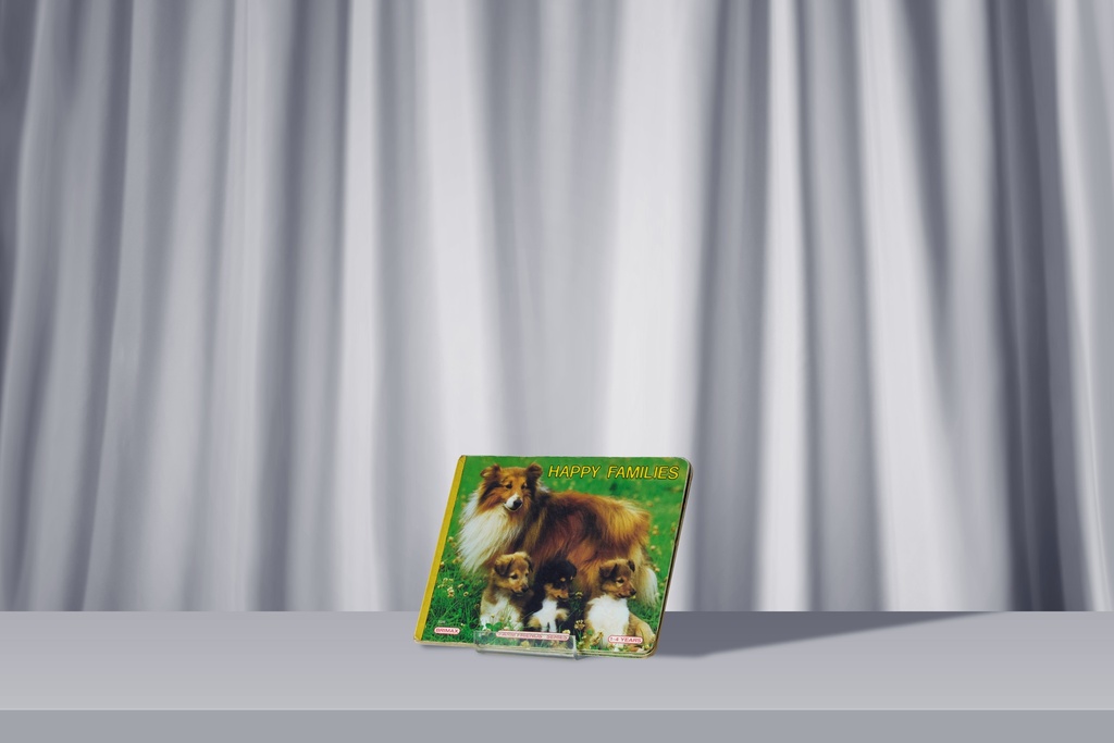 Livre - Happy Families