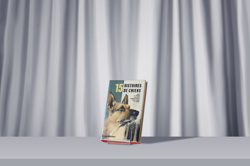Livre - 15 Histoires de chiens
