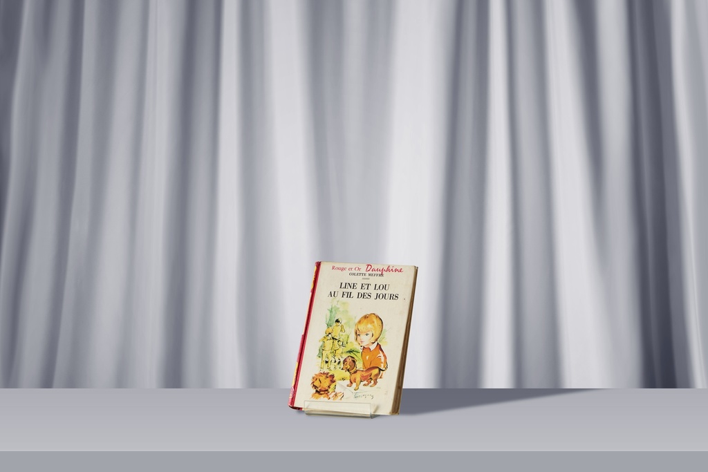 Livre - Line et Lou au fil des jours