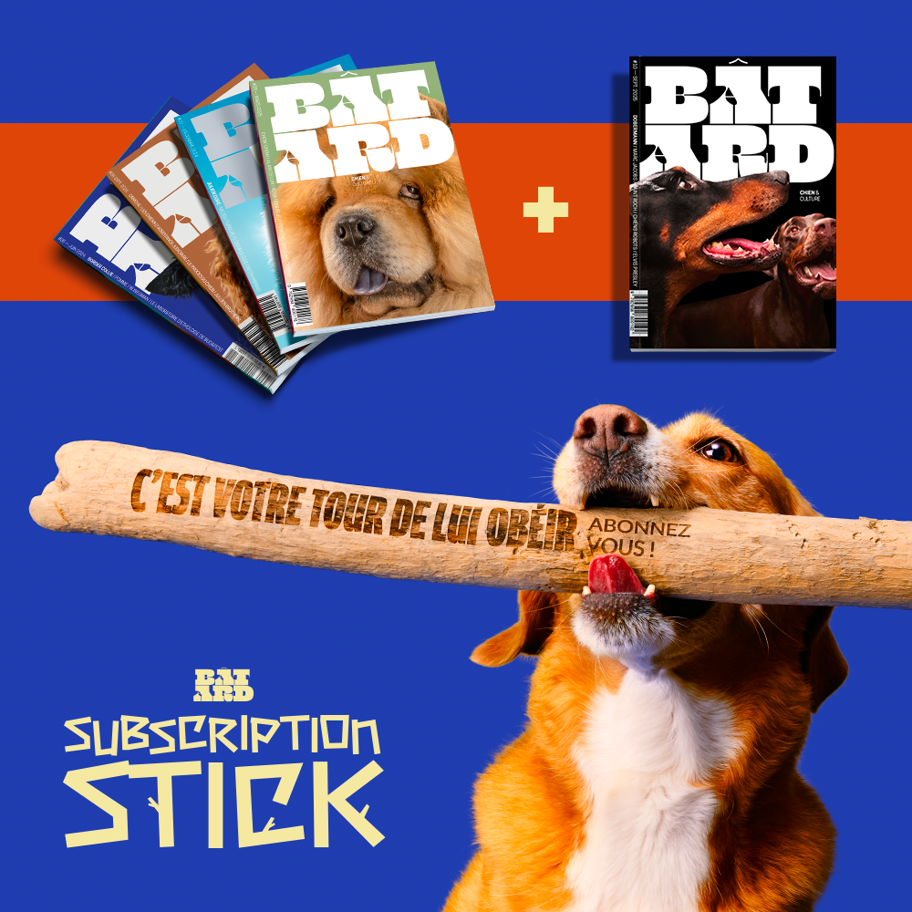 Pack Subscription Stick